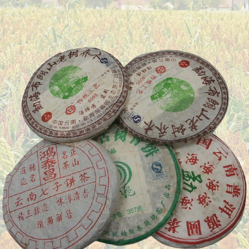 雲南普洱茶餅